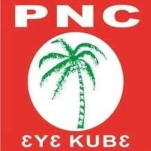 apasera,-mornah,-ewusi-arkoh-et-al-cleared-for-pnc-primaries