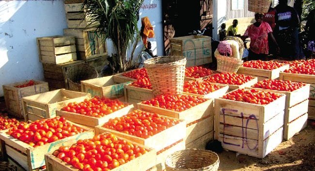 tomatoes-record-significant-price-reduction