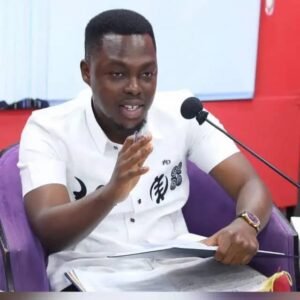 “botchway-jr.:-mahama’s-return-will-bring-destruction,-not-development”