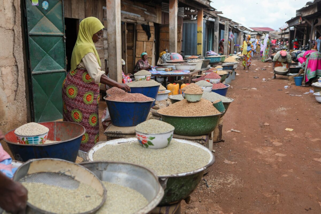 just-in:-ghana-bans-export-of-rice,-corn-and-soybeans-to-address-food-shortage