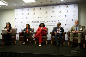 “unlocking-africa’s-potential:-global-africans-urged-to-invest-in-continental-infrastructure”